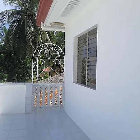 Luzmin Bh - White House